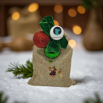 Santa Sacks! Sleep and Fun